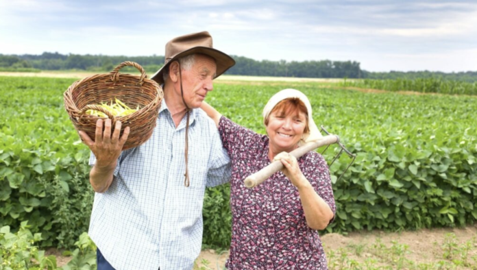 Regime de economia familiar Rural e trabalho urbano do cônjuge no INSS